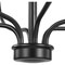 Progress Lighting Bonita Collection Six-Light Black Foyer Chandelier P400227-031 - alternate 4